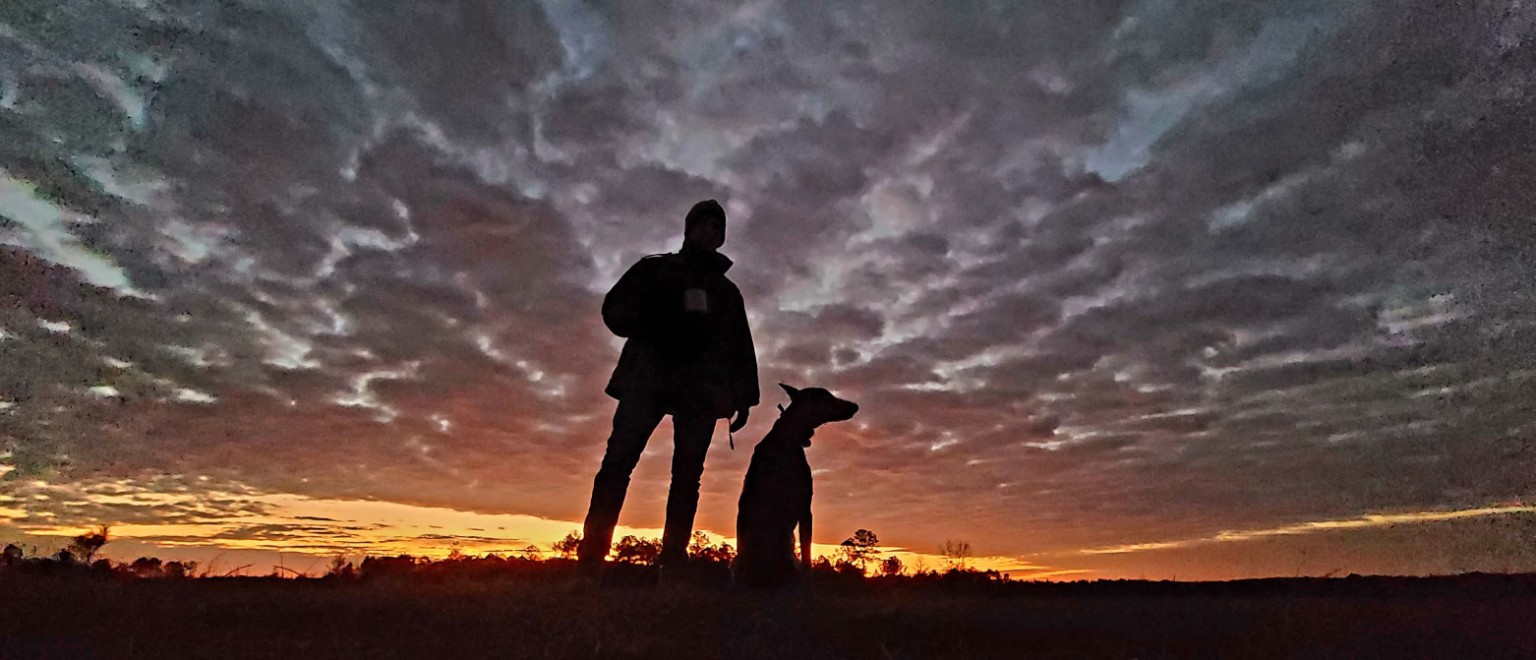 Tim and Bleu silhouetted together against a dramatic farm sunset